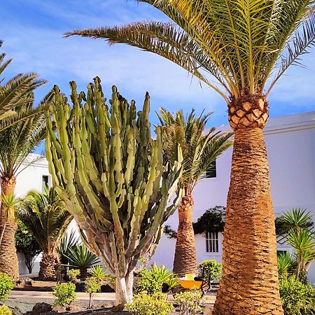 Flor De Las Dunas Pools Wifi Tennis Bikes For Free Corralejo Exterior photo