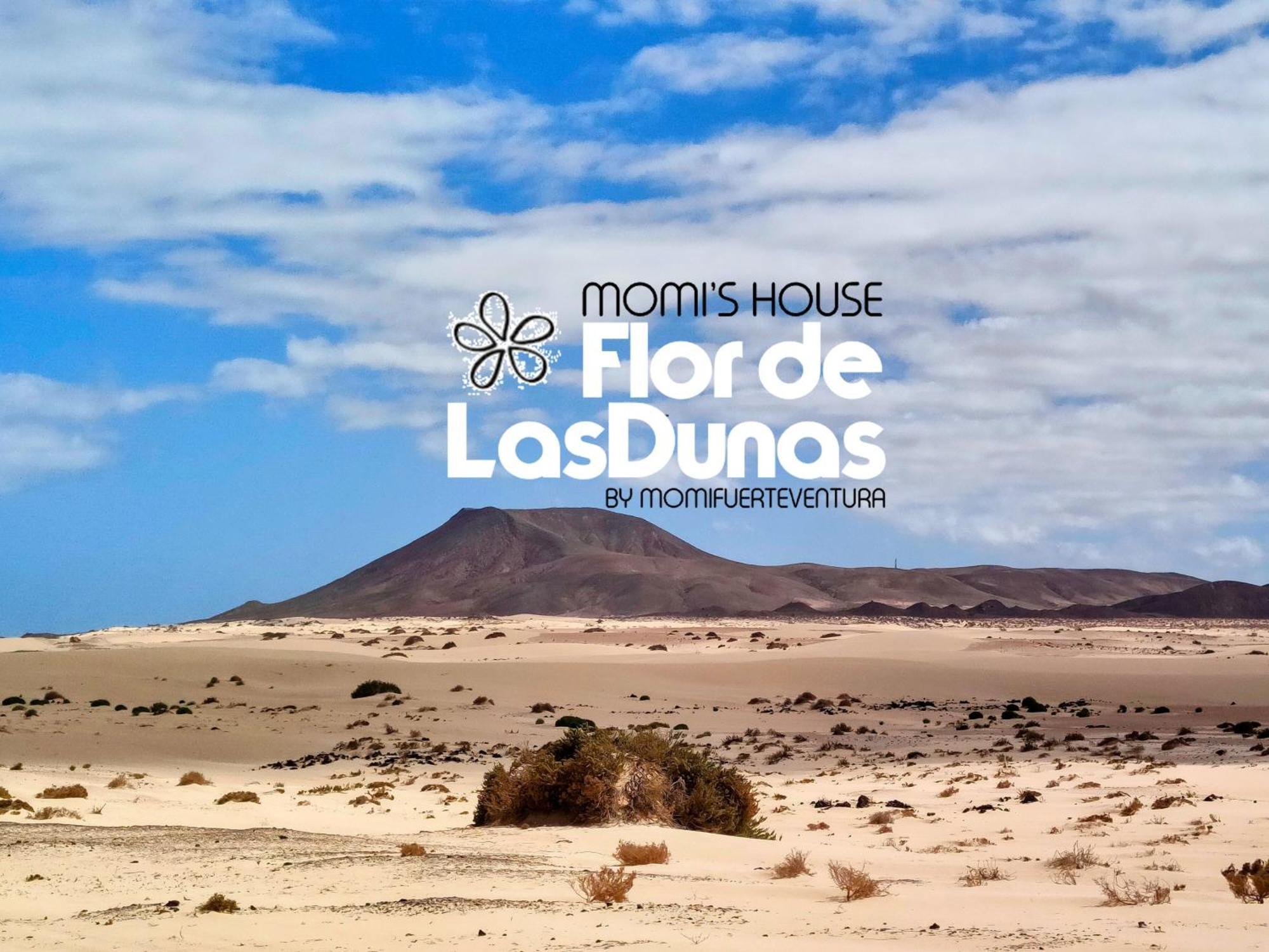 Flor De Las Dunas Pools Wifi Tennis Bikes For Free Corralejo Exterior photo